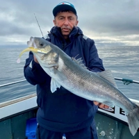 Sidewinder Skerries Pro Sandeels